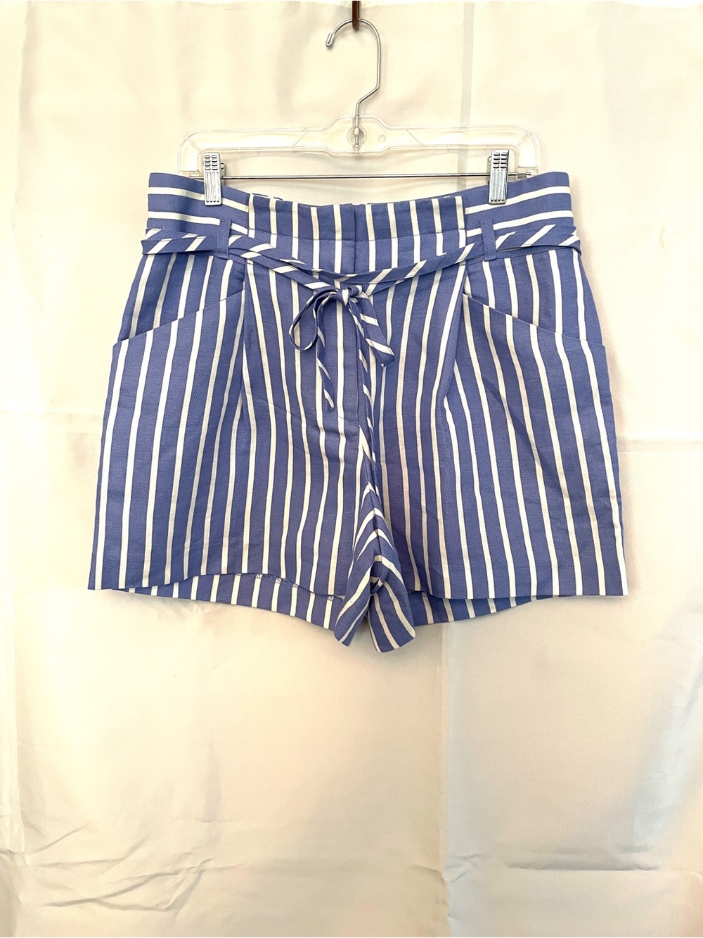 Ann Taylor Striped Blue Paperbag Waist Women's Shorts